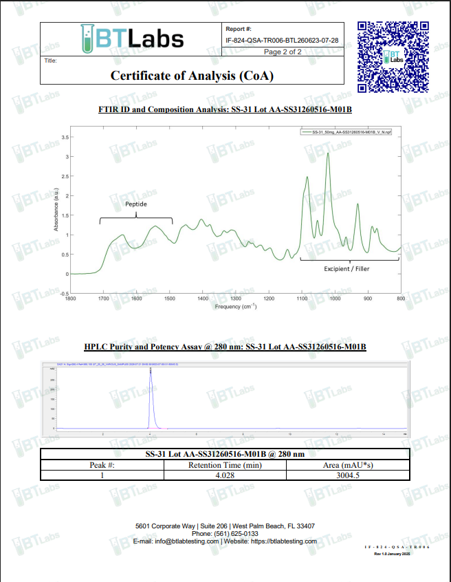 SS-31 - Image 4
